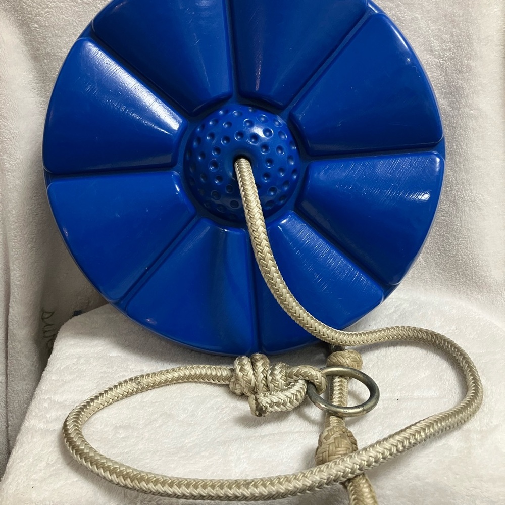 Blue Plastic Disc Swing Seat with Rope and ring. Nice and sturdy.